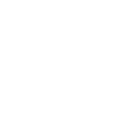pin Website